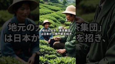 中国が抹茶大国に？日本市場にも進出　#国際情勢 #中国 #抹茶 #日本茶 #貴州省 #銅仁市 #英語フレーズ #ショート動画