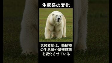 異常気象だけじゃない！地球温暖化の”本当の恐怖”【食料・海・絶滅】 #気候変動 #地球の危機