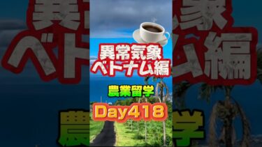 #youtubeshorts #農業 #異常気象 #留学 #留学日記 #ハワイ #ハワイ島