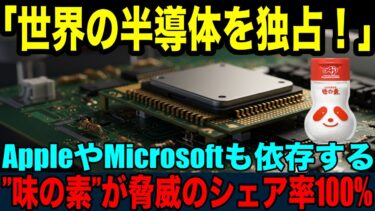 【海外の反応】「AppleやMicrosoftも土下座！」半導体を独占していたのは、あの”味の素”だった。
