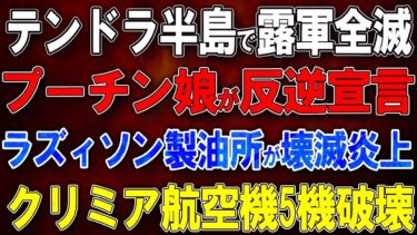【ウクライナ戦況】テンドラ半島で露軍全滅！プーチン娘が完全反逆宣言！ラズィソン製油所が壊滅炎上！クリミア航空機5機破壊！