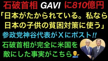 [GAVI]に810億円。「世界のATM」がトレンド。日本国民には、減税する財源がないと言っておきながら・・・。