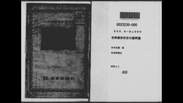世界経済安定の諸問題