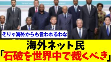 【移民政策】海外のネット民からも批判される石破政権