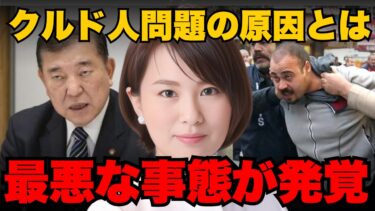 ※拡散してください。クルド人•移民問題の原因は〇〇です。【深田萌絵】