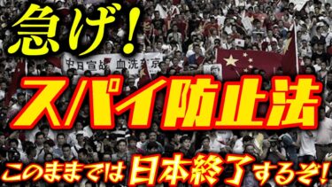 急げ!!!スパイ防止法！このままでは日本の安全保障も崩壊？！