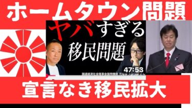 【移民問題】木更津がナイジェリアのホームタウン？(大野寛文×石田和