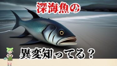【衝撃】深海魚大量打ち上げ！異常気象と海底資源開発の関連性 #深海魚 #異常気象 #海底資源