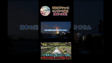 【海外の反応】「これが日本の川の現実なのか？」インドネシア人観光客が目撃した衝撃の光景とその真実！#日本#海外の反応#世界の日本#日本の素晴らしさ#海外の反応#外国の反応#世界の反応#日本人#日本文化