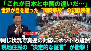 【海外の反応】「これが日本と中国の違いだ…」同時事故の“真逆対応”に世界が騒然！現地証言が決定的すぎた