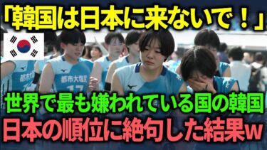 【海外の反応】「日本より韓国の方が人気に決まってるでしょ？」何かを勘違いしている韓国人に真実を伝えた結果w