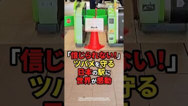 【海外の反応】「信じられない！」ツバメを守る日本の駅に世界が感動#shorts