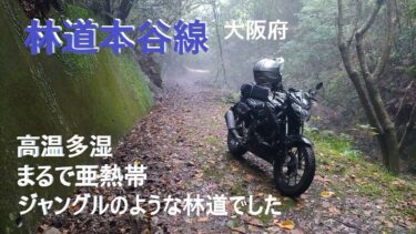 大阪府 本谷線 地球温暖化で亜熱帯のように高温多湿 行けるとこまで GSX150バンディット 2025年8月