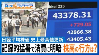 記録的な猛暑で消費に明暗　好調の“冷感グッズ”　一方夏野菜・豚肉に打撃で“猛暑インフレ”　史上最高値株価の行方は？【Bizスクエア】｜TBS NEWS DIG