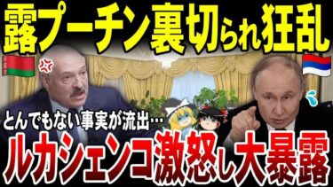 【ゆっくり解説】ルカシェンコがプーチン裏切り停戦交渉のとんでもない事実を大暴露！
