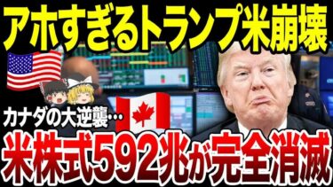 【ゆっくり解説】アメリカ国家存続の危機！トランプが関税かけまくった結果。
