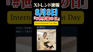 世界猫の日　インターナショナルキャットデイ　藤あや子　【Xトレンド】　#トレンド　#ニュース　#豆知識　#shorts  #世界猫の日　#猫