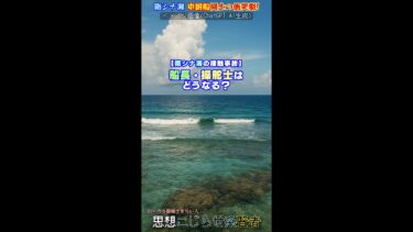 【南シナ海の接触事故】船長・操縦士はどうなる？ #南シナ海 #国際ニュース #shorts