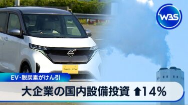 大企業の国内設備投資 ↑14％　EV･脱炭素がけん引【WBS】