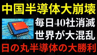 【中国半導体大崩壊】毎日40社消滅！日本が独占する理由とは【ゆっくり解説】