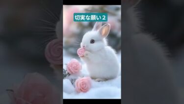 ☆切実な願い２ （こんなものは不要だ）#地球温暖化防止  #美しい日本を守ろう  #ウサギも祈るほどの危機