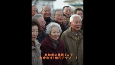 高齢者移民問題について