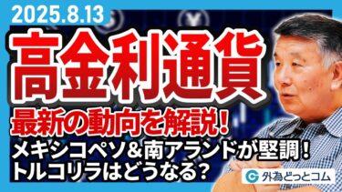 高金利通貨の最新の動向を解説！メキシコペソ・南アランドが堅調！トルコリラはどこへ向かう？　8月13日（水）野村雅道【FX/為替見通し】＃外為ドキッ