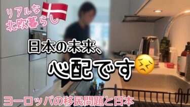 移民が増え続ける日本が心配です/デンマークの治安の良さと移民問題【北欧暮らしvlog】