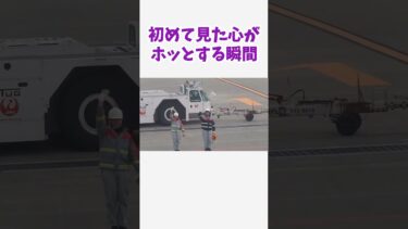 【海外の反応】飛行機から見えた…日本の感動的な“お辞儀”文化 #2ch #外国人の反応#日本 #海外の反応 #旅行 #飛行機#japan