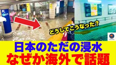 【海外の反応】日本の地下鉄、NYを100年以上も悩ませる”濁った水”と徹底比較！「この一枚の写真が全てを物語る」と世界が衝撃