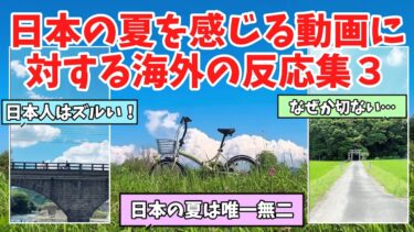 【海外の反応】日本の夏を感じる動画に対する海外の反応まとめ３
