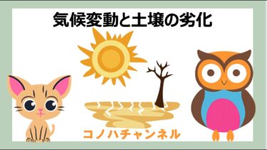 コノハチャンネル【第７回】　気候変動と土壌の劣化