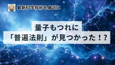 量子もつれに「普遍法則」が見つかった！?