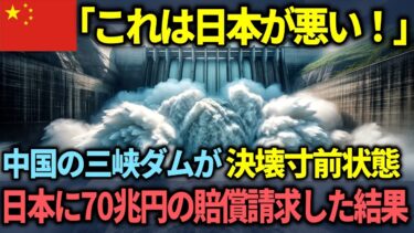 【海外の反応】「日本には本当にウンザリしている！」中国の三峡ダムが崩壊危機に陥るが、日本企業に責任転嫁する無責任な行動を取った結末