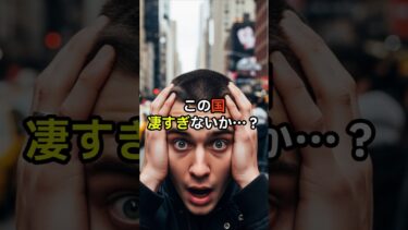 この国凄すぎないか…!   #海外の反応 #日本 #日本称賛 #日本文化 #文化の違い #外国人 #日本人の反応 #日本旅行 #外国人が驚いた日本