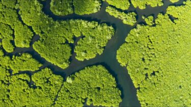 見過ごされた気候フィードバック効果がもたらす温暖化の加速