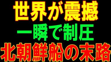 【海外の反応】海自の電光石火！ミサイル艇「はやぶさ」北朝鮮不審船が逃げ場なし