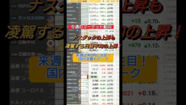 【今週のマーケット動向】ナスダックの上昇を凌駕する日経平均の上昇！来週は米国CPIに注目！国内決算もピーク！【株式投資】【米国株】