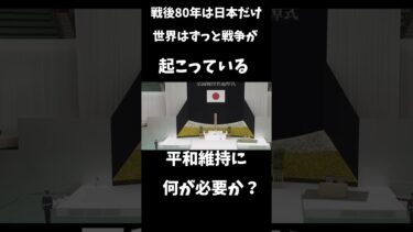 戦後80年は日本だけ世界はアメリカはずっと戦争している #自民党 #国民民主党 #公明党 #立憲民主党 #消費税 #減税 #日本維新の会 #選挙