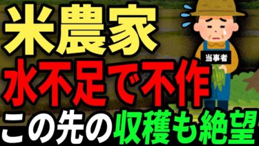来年も米の収量は絶望的… 水不足・異常気象で米が枯れて不安になっている米農家の現場の声、口コミ。