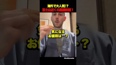 海外で大人気⁉︎富士山近くの高級旅館！ #海外の反応 #日本 #short