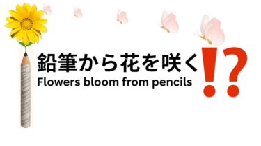 鉛筆から花を咲く⁉️ ＃ペーパーえんぴつ　#広島市地球温暖化対策地域協議会　@Hit-Hiroshima-Jo-Japan
