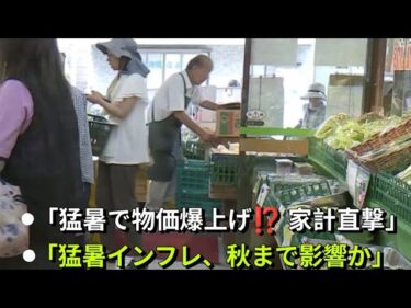 “猛暑インフレ”が秋まで影響？　生育不良・出荷減少で食卓直撃　物価上昇で「家計負担感が高まる」専門家が予想