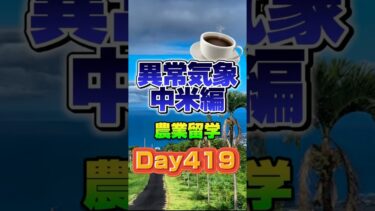 #youtubeshorts #農業 #異常気象 #コーヒー #留学 #留学日記 #ハワイ #ハワイ島