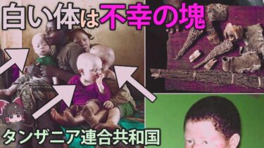 【ゆっくり解説】白い体に生まれたら終わり。タンザニアの地理歴史