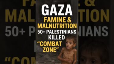 👉 “Gaza: Hunger, Death & War | Children Paying the Price 💔”