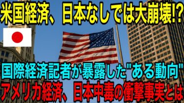 【海外の反応】「アメリカ経済は日本なしでは成立できない⁉」国際経済記者が暴露したあるルールが明らかに！