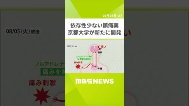 “依存性少ない鎮痛薬”を京都大学が開発　アメリカで社会問題「フェンタニル」に匹敵する効き目（2025年8月5日） #shorts