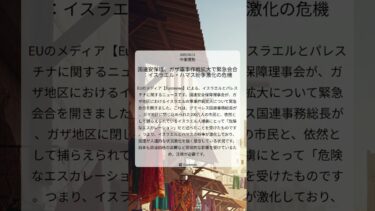 国連安保理、ガザ軍事作戦拡大で緊急会合：イスラエル・ハマス紛争激化の危機｜Euronews｜2025/08/11｜中東情勢