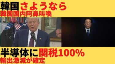 【ゆっくり解説】さよなら韓国。半導体に100%の関税